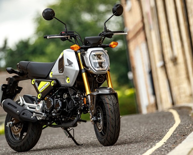 Delving into the Honda Grom